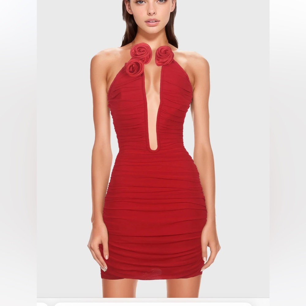 Monvess Red Mini Dress with Roses